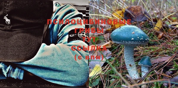экстази Бронницы