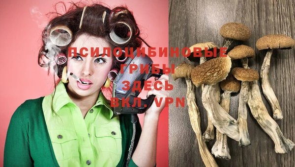 марки lsd Бугульма
